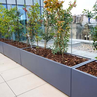 Corporate Roof Garden 